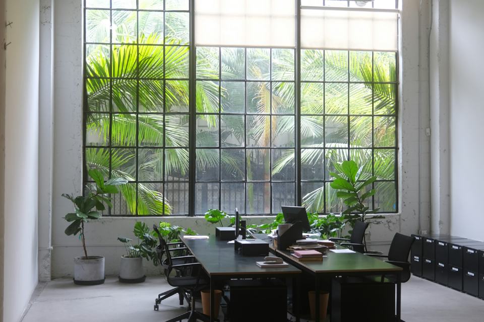 Bright workspace table for institutional project conversations.